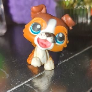 Border Collie Littlest Pet shop